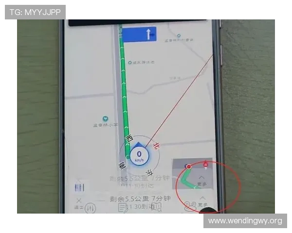 问鼎国际导航:国际导航在物流运输中的应用优势及提升运输效率的实用建议