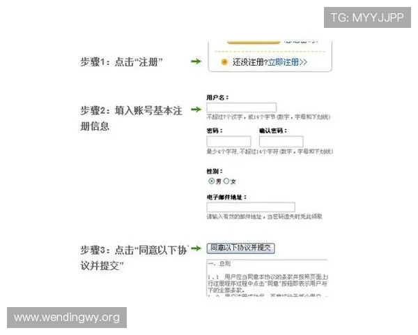 问鼎官方网站入口注册登录流程详解让你轻松掌握手机端游戏账号管理技巧